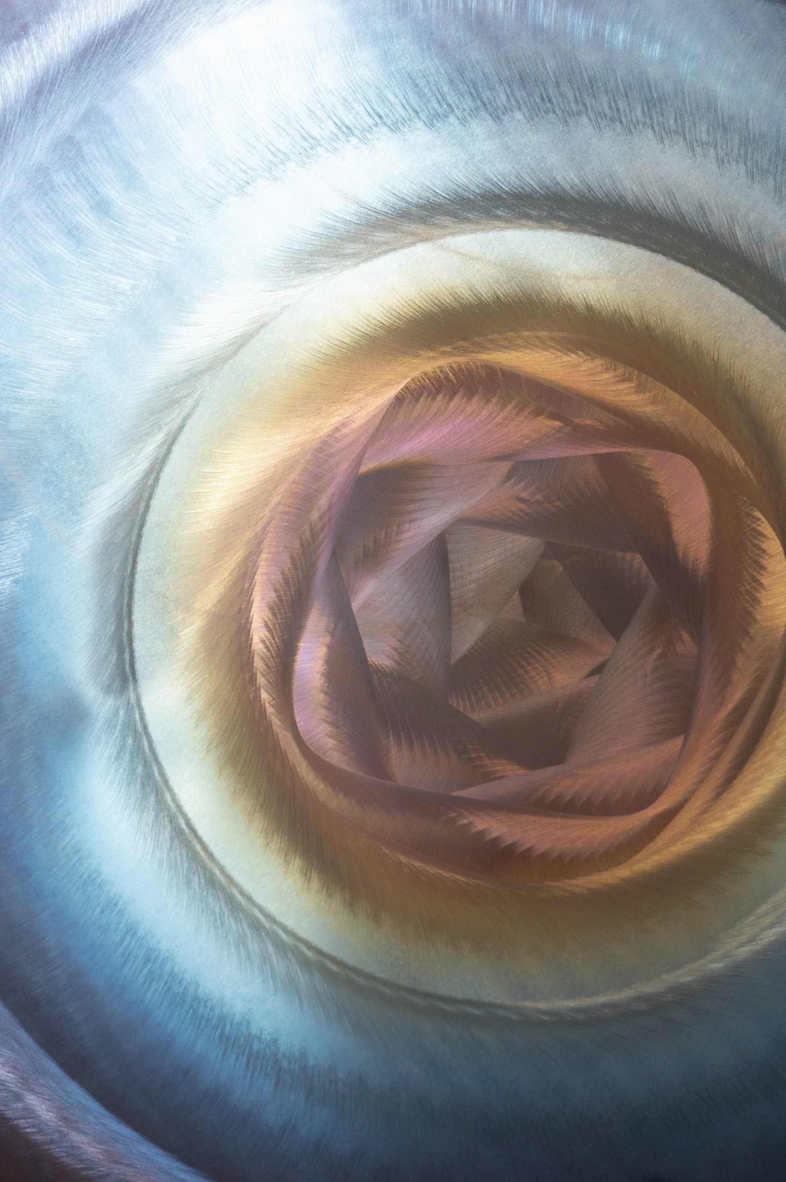 Close-up of an iridescent gong glowing in gold, rose, and blue