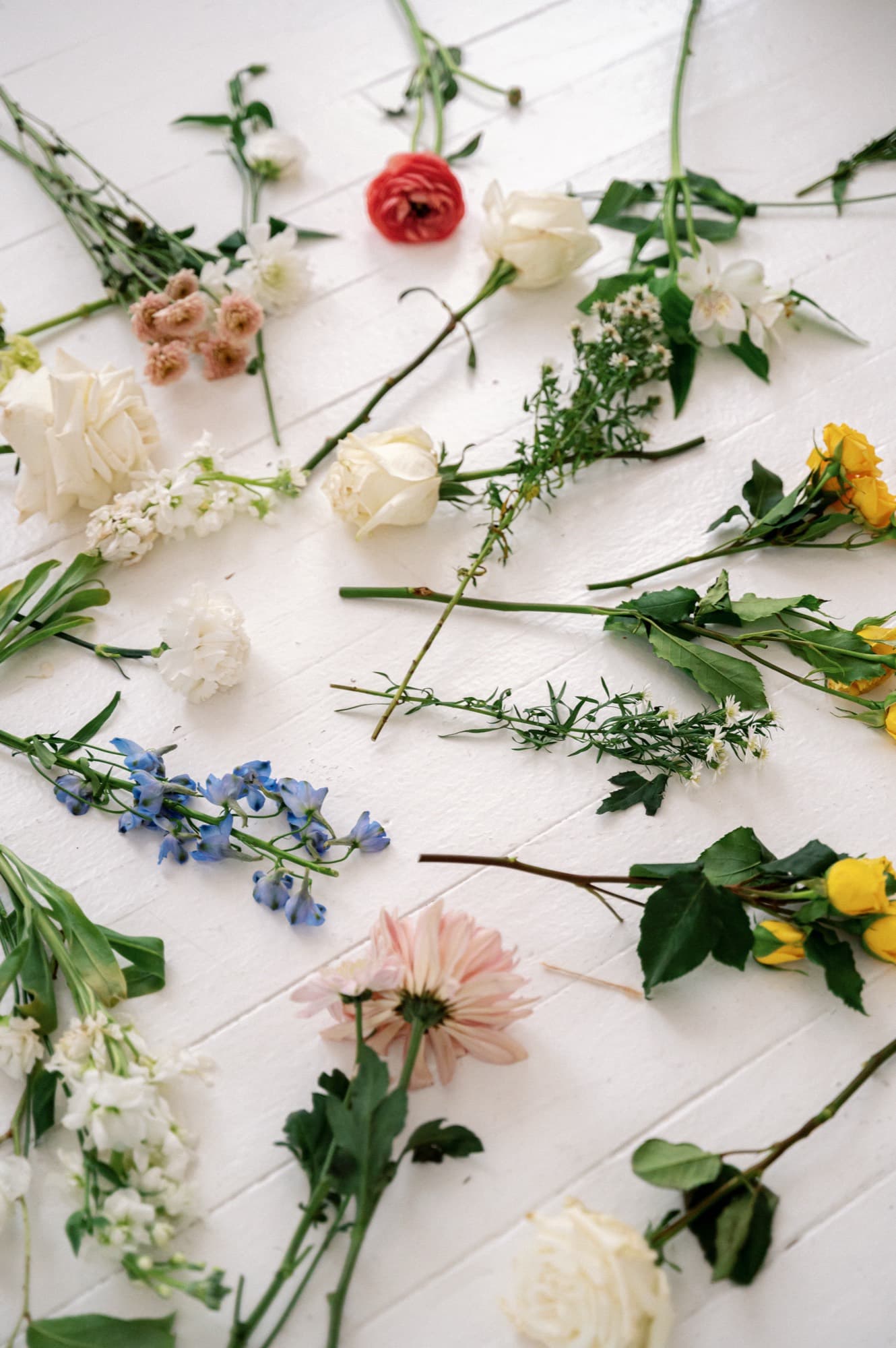 Fresh flowers arranged around Laura's instruments